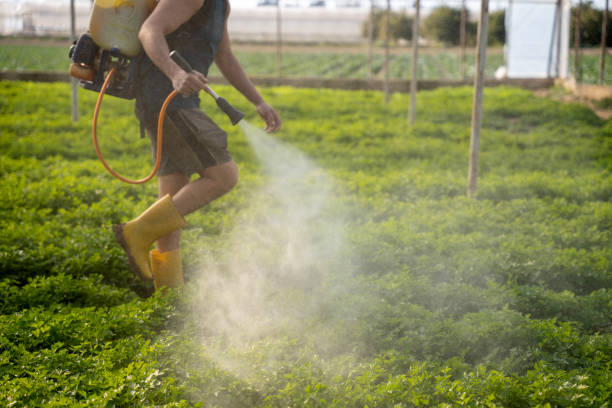 Professional Pest Control in Nocatee, FL