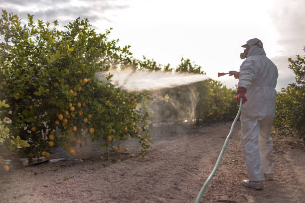 Best Residential Pest Control  in Nocatee, FL